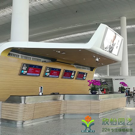 南航國(guó)際機(jī)場(chǎng)